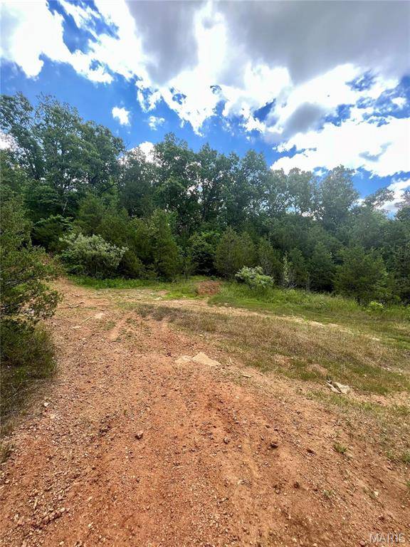 Bonne Terre, MO 63628,9100 Hill DR