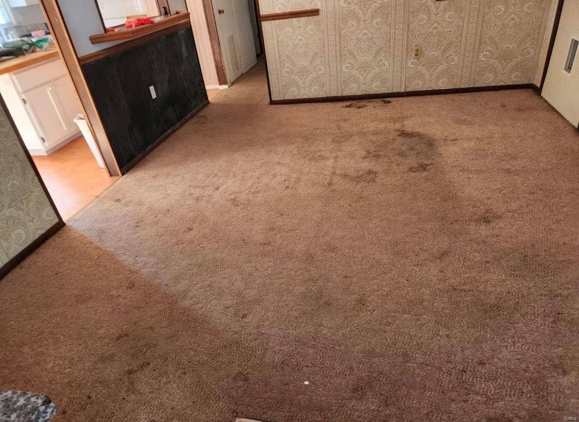 Ironton, MO 63650,328 Michael LN