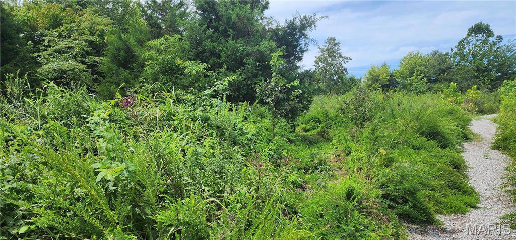 Makanda, IL 62958,85 Maggie LN