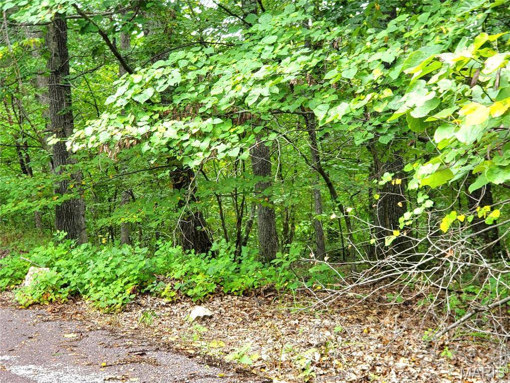 Catawissa, MO 63015,525 Micah RD