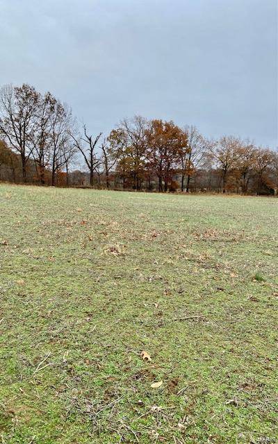 Puxico, MO 63960,267 County Rd.