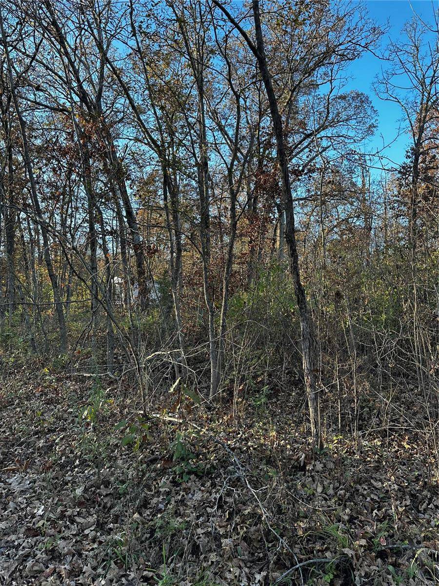 Bismarck, MO 63624,534 Elvins DR