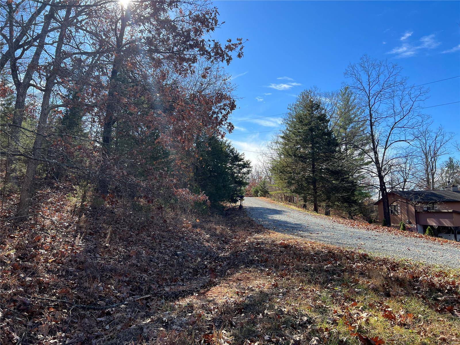 Bonne Terre, MO 63628,0 Amy CT