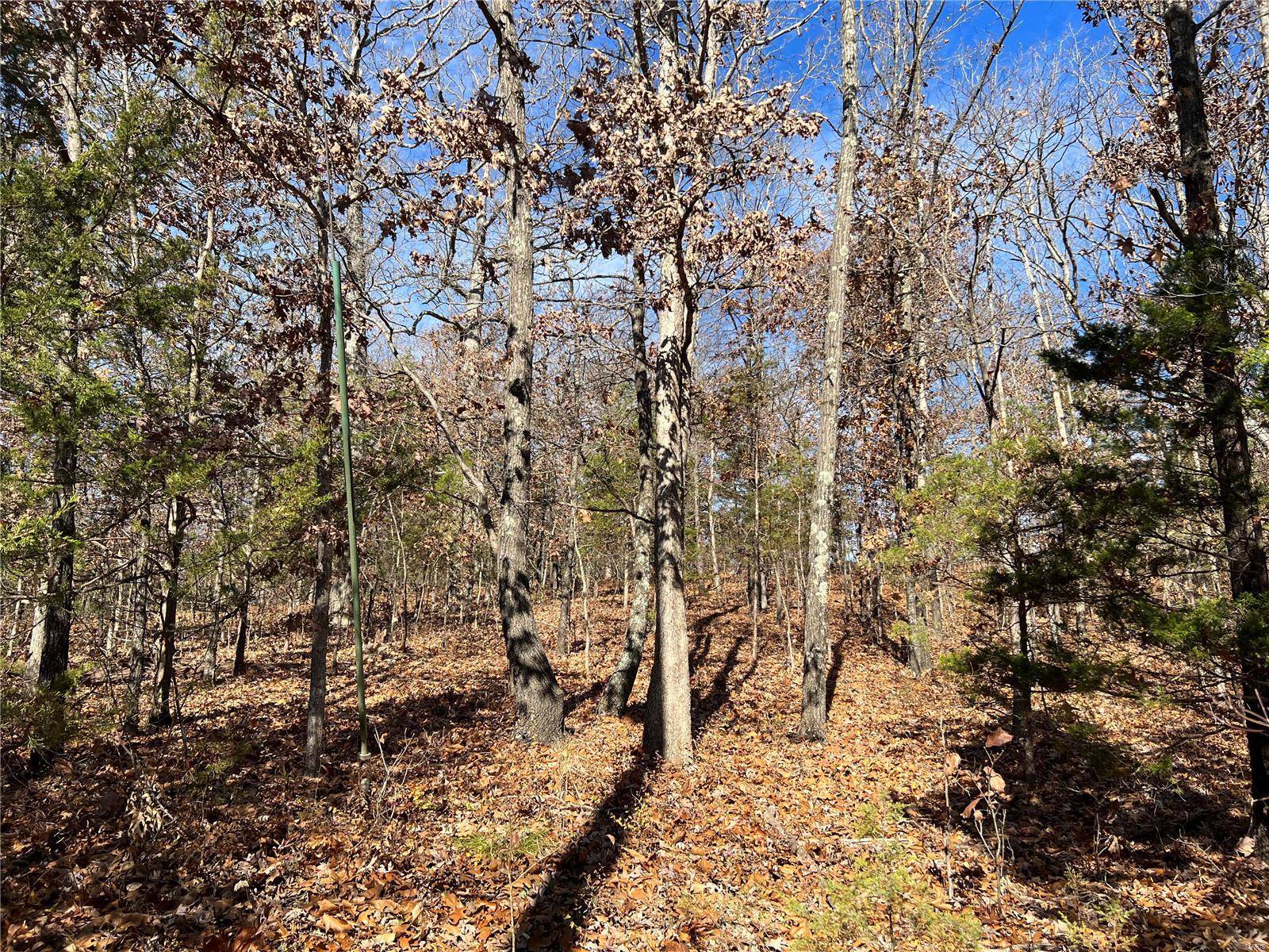 Bonne Terre, MO 63628,1 Rue Cheryl