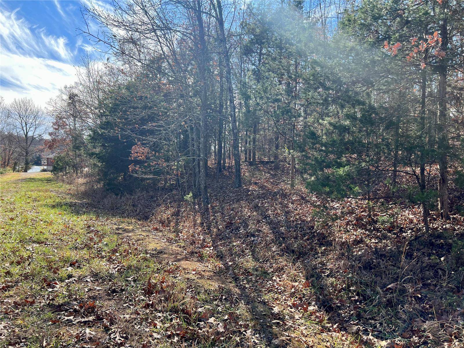 Bonne Terre, MO 63628,0 Rue Cheryl
