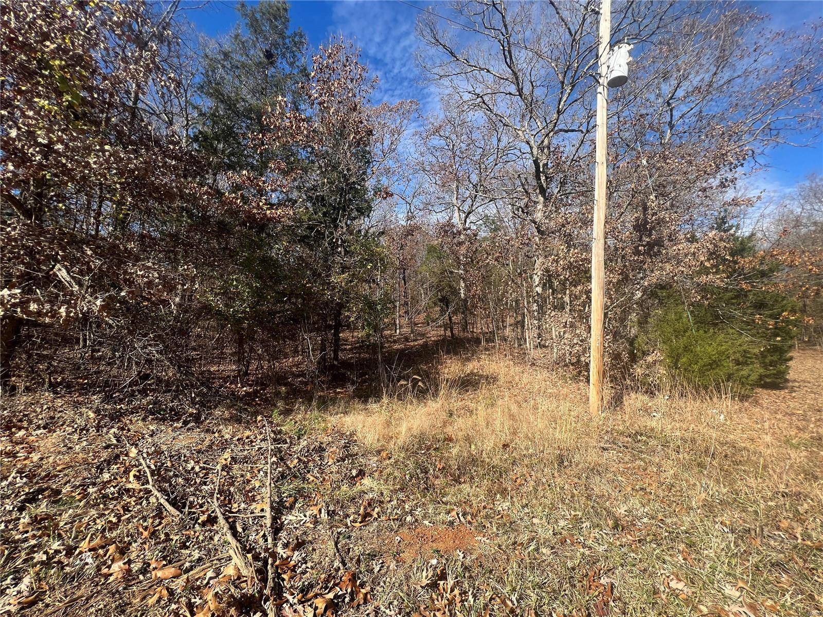 Bonne Terre, MO 63628,0 Rue Cheryl