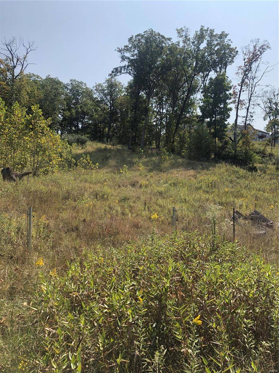 High Ridge, MO 63049,6752 Walnut Valley
