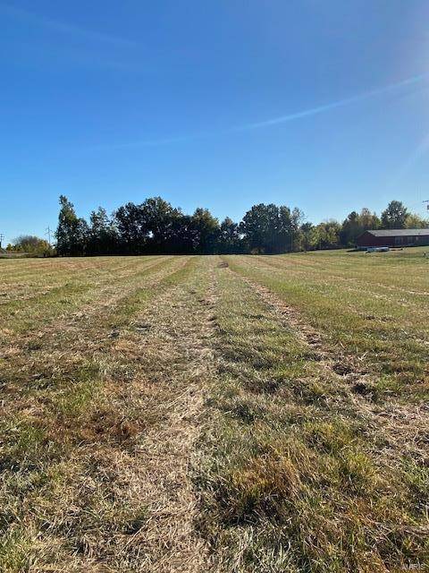 Monroe City, MO 63456,0 SE Border ST