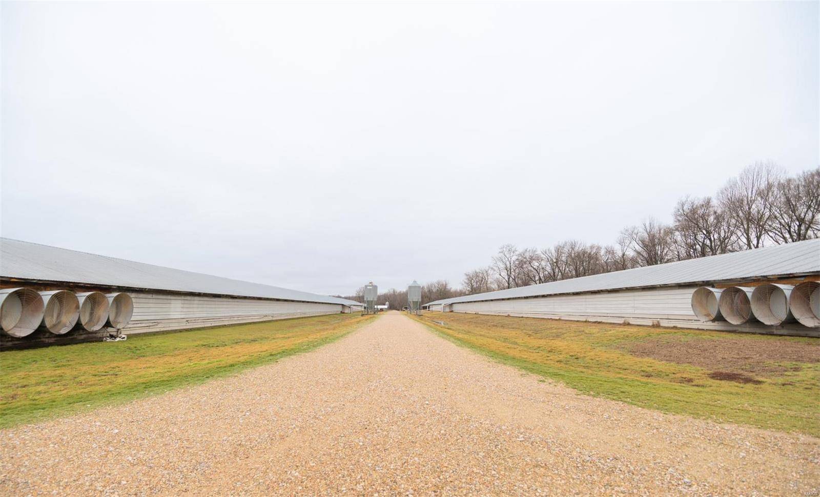 Bloomfield, MO 63825,15701 County Road 533