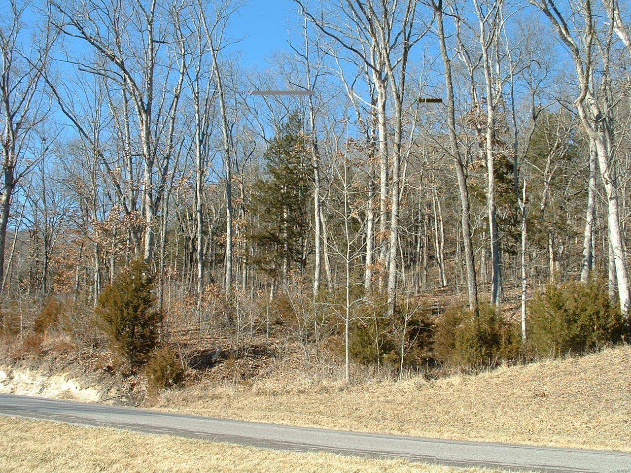 Augusta, MO 63332,4501 Augusta Shores CT #Lot #22
