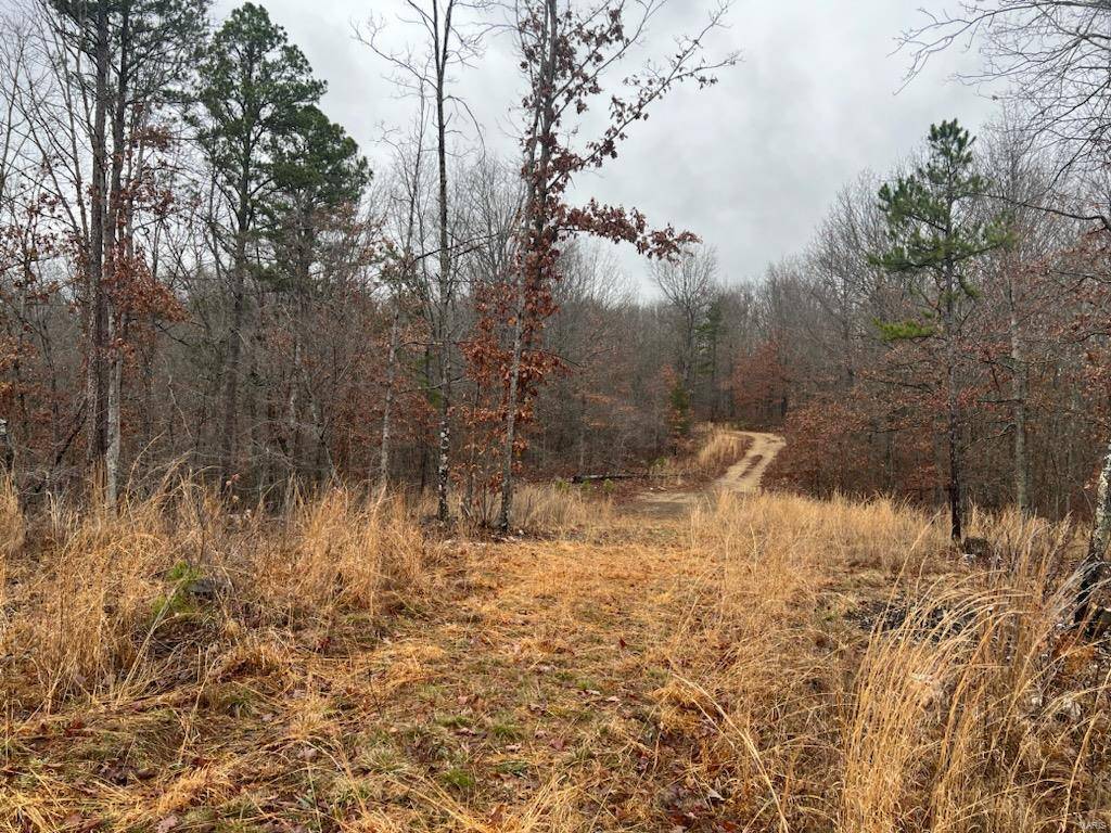 Raymondville, MO 65555,0 Golden Trail