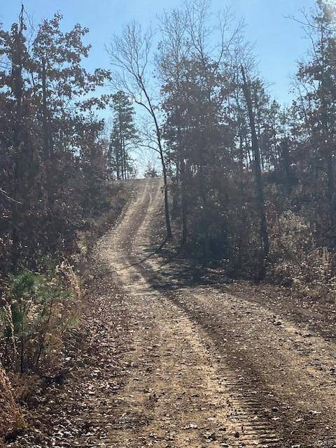 Fredericktown, MO 63645,54 Madison CR 410