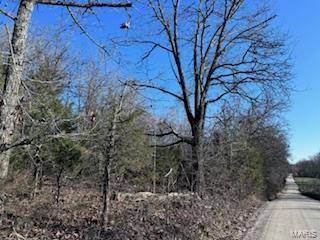 Mountain View, MO 65548,0 County Road 3200