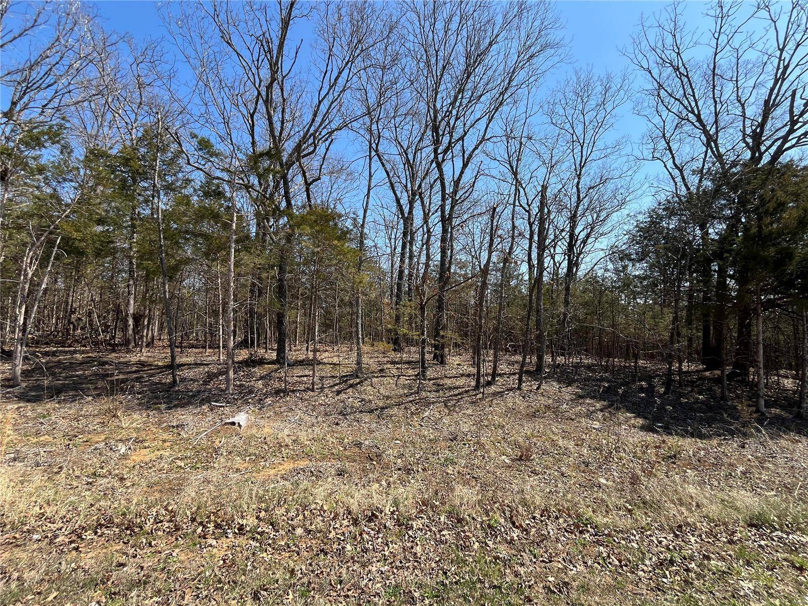 Bonne Terre, MO 63628,0 Rue Riviera
