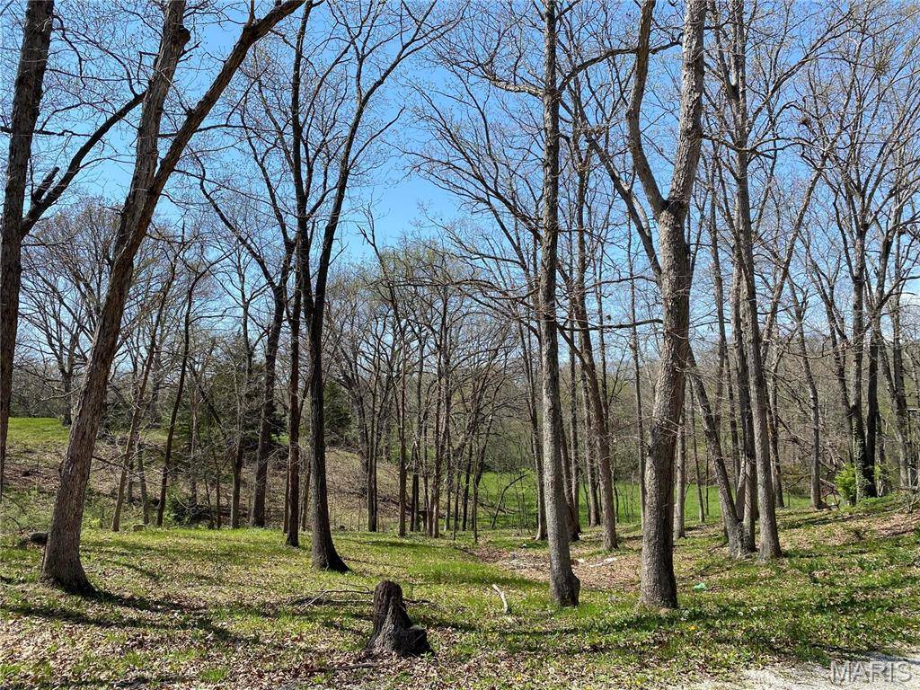 Other, MO 65270,1361 County Road 2347
