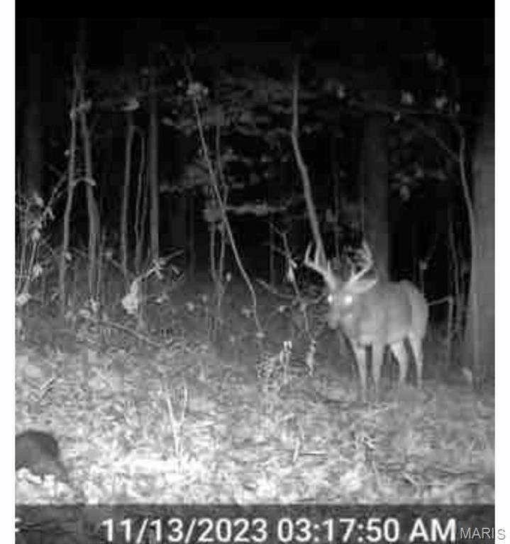 Van Buren, MO 63965,0 Hwy 60