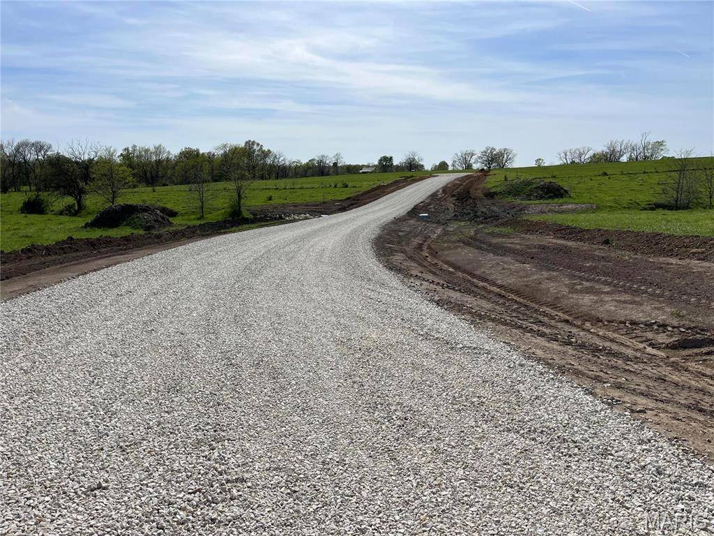 Bowling Green, MO 63334,0 Lot 12 Pike 403 DR