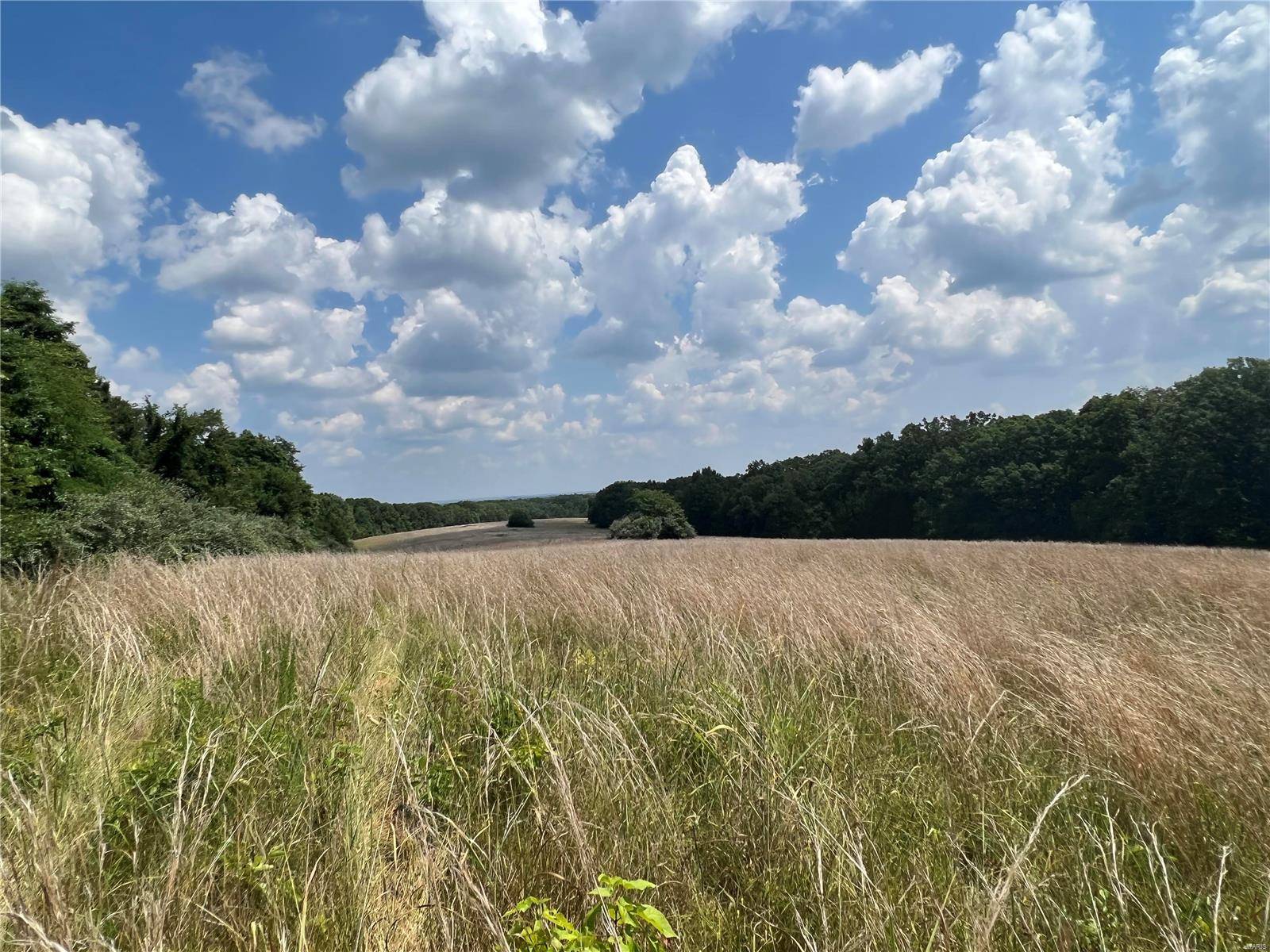 De Soto, MO 63020,5232 Hobby Farms Dr