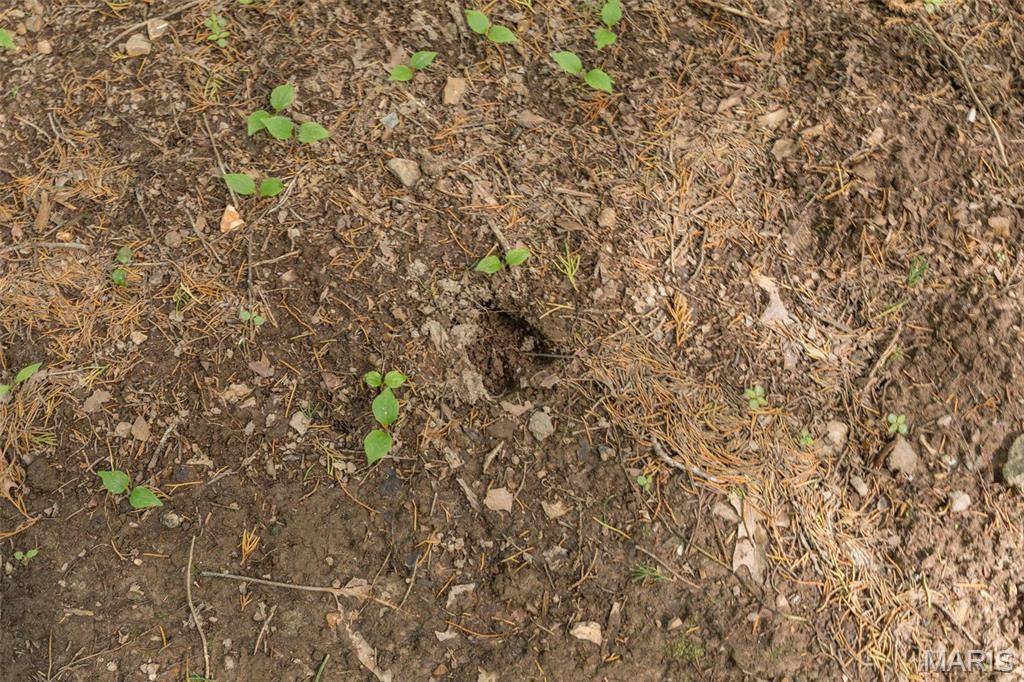 Salem, MO 65560,40 +\- Acres CR-6190