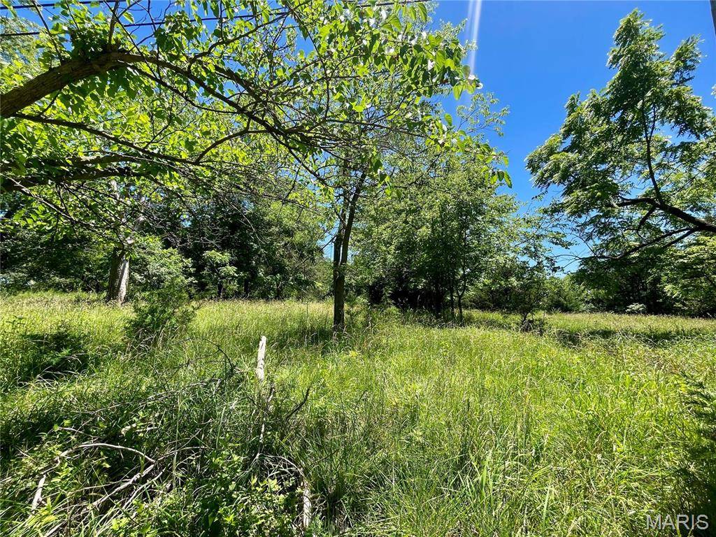 Arnold, MO 63010,2558 Frederitzi LN