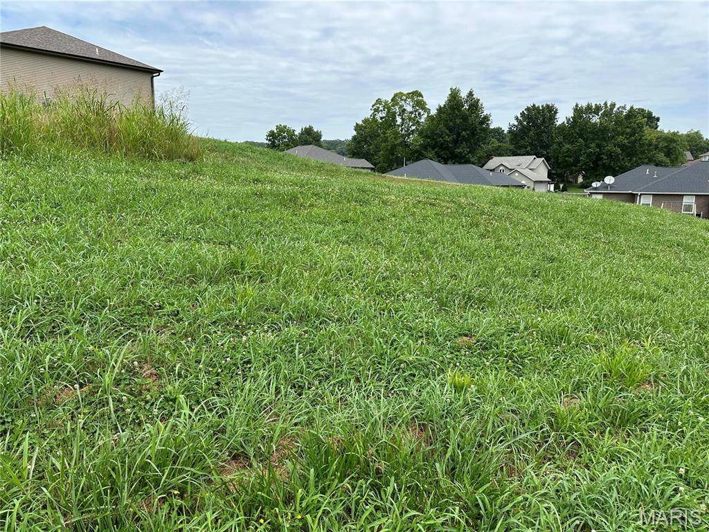 Cape Girardeau, MO 63701,3552 Mill View Crossing WAY