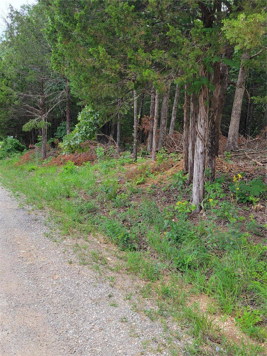 De Soto, MO 63020,933 Stone Gate DR