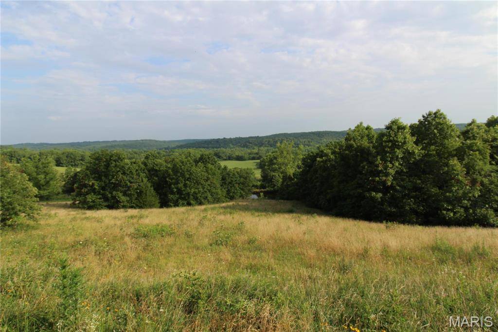Unincorporated, MO 65793,0 HWY 137