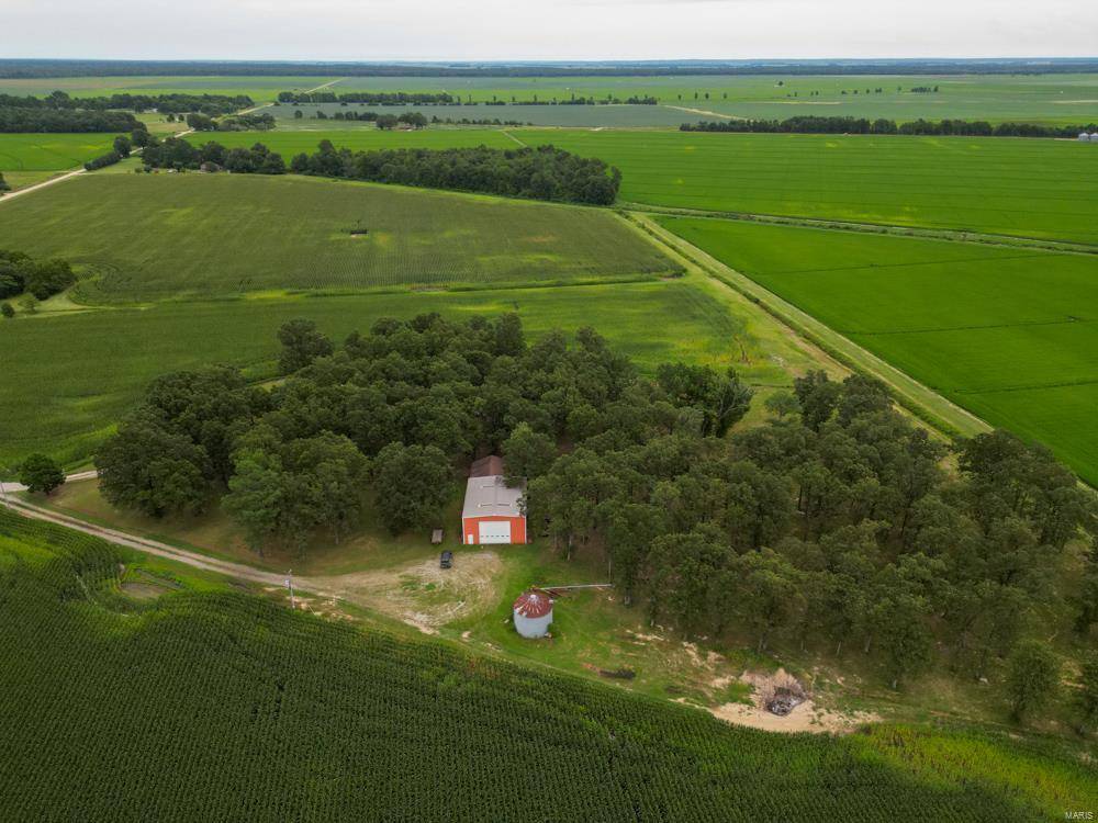 Corning, AR 72422,986 County Road 154