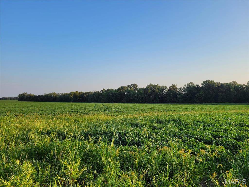 Bellflower, MO 63333,0 Hwy DD (17+/- Ac) Tract B