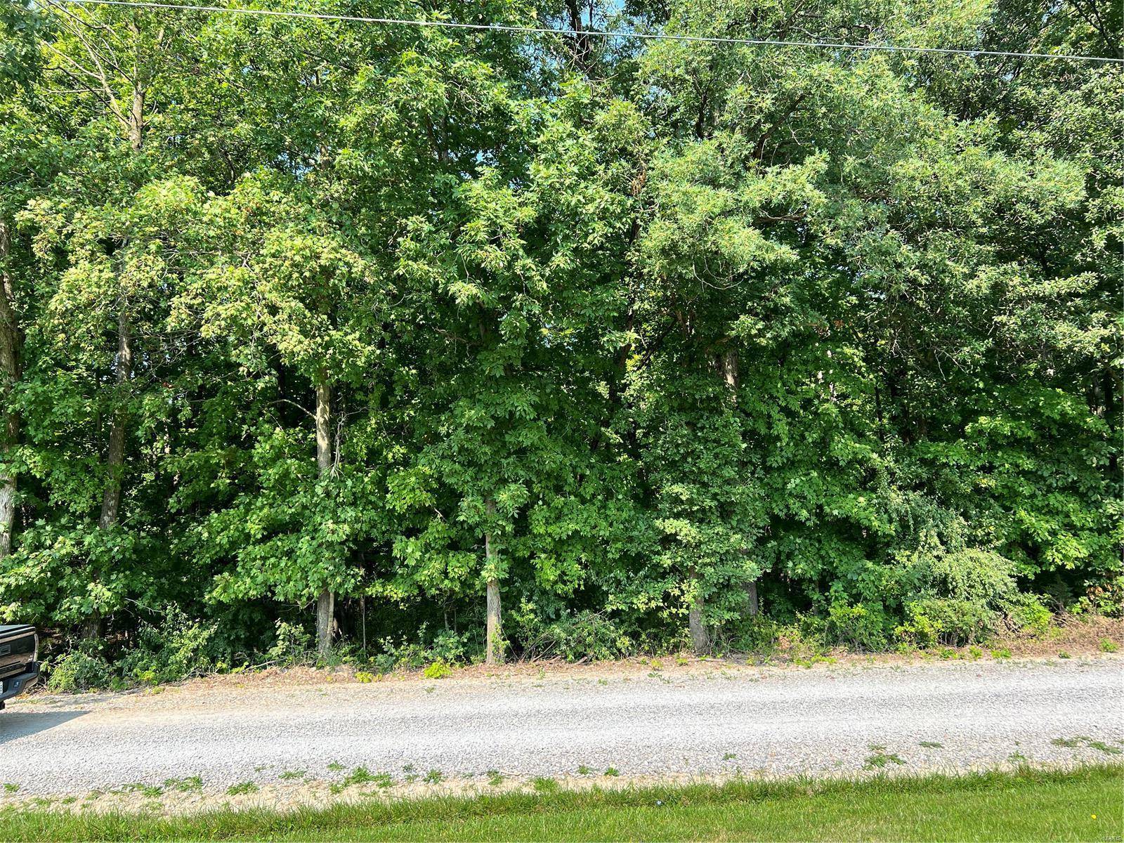 New London, MO 63459,16741 Pawnee DR