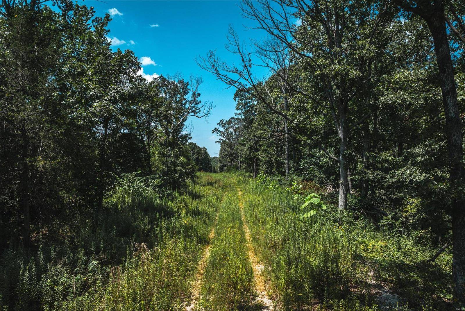 Waynesville, MO 65583,0 Raceway Rd
