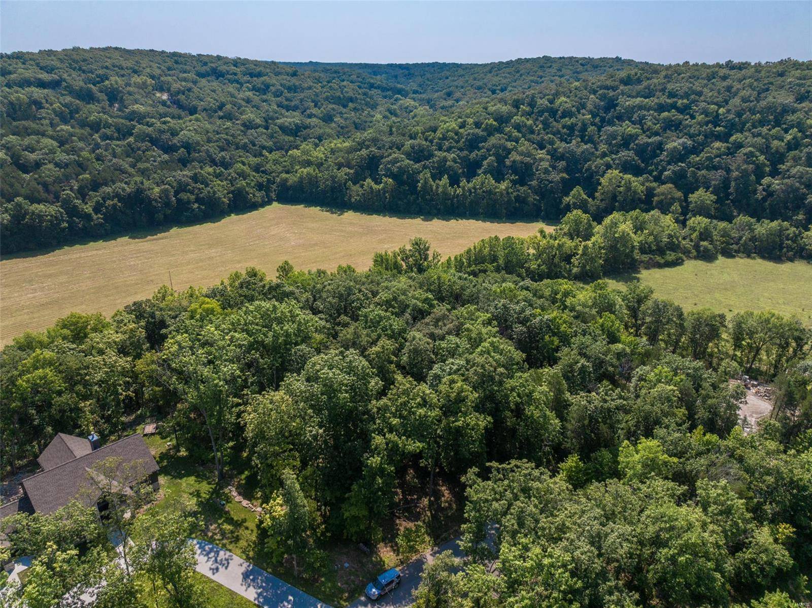 Innsbrook, MO 63390,2545 Alpine Woods DR
