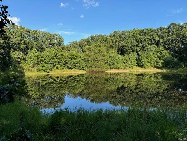 St James, MO 65559,15620 Private Drive 1063