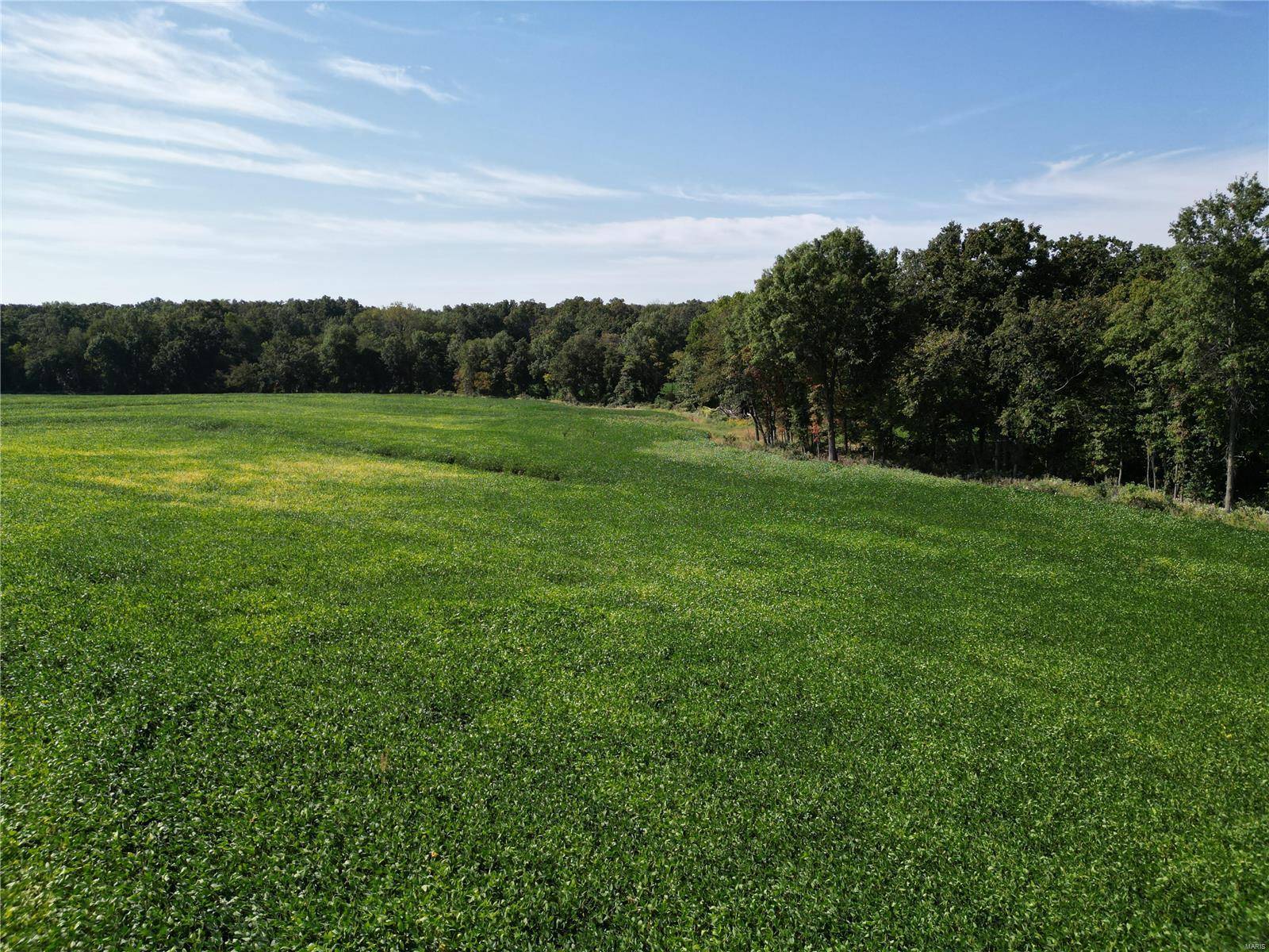 New Hartford, MO 63359,0 59 Ac m/l Pike 409