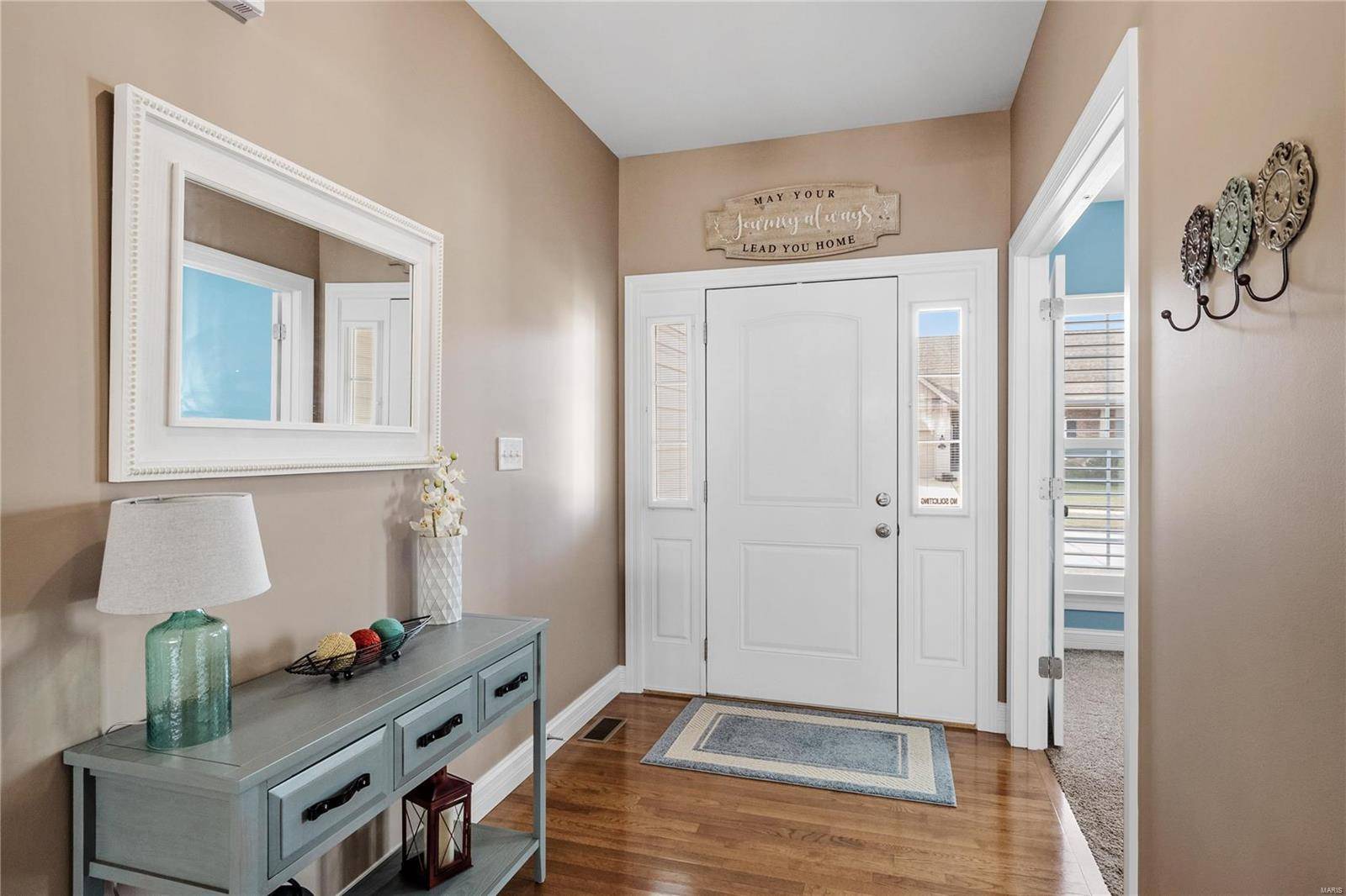 Lake St Louis, MO 63367,307 Pointe Loma BLVD
