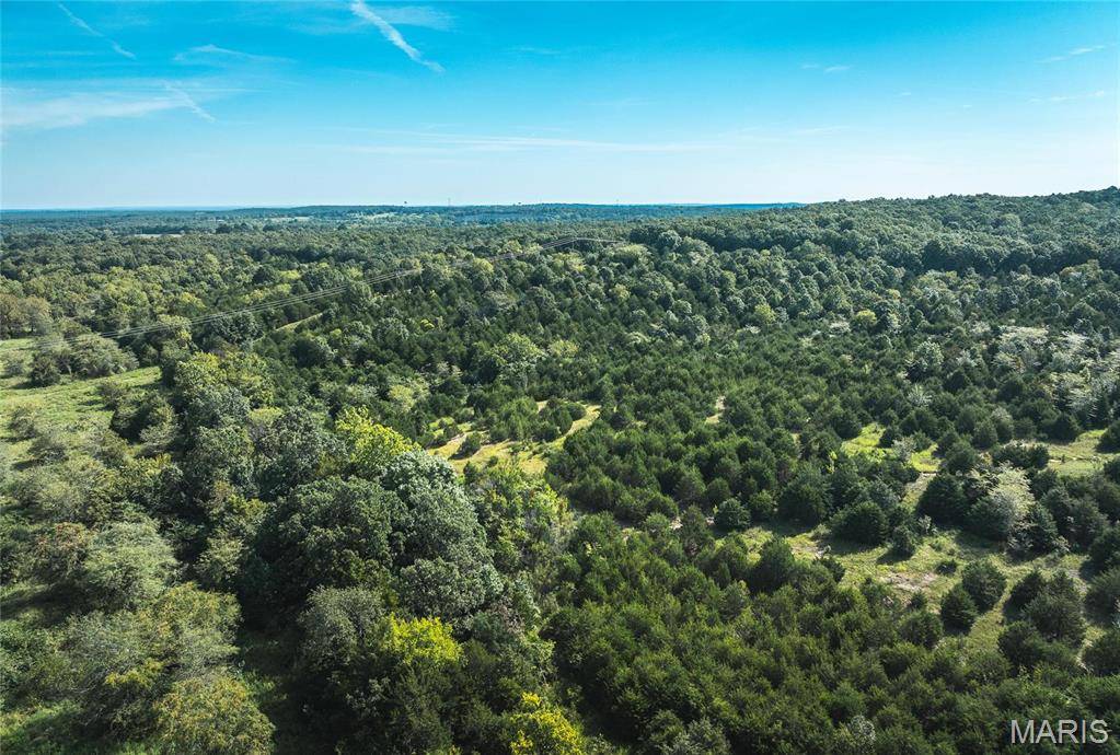 Laquey, MO 65583,0 Sapphire DR
