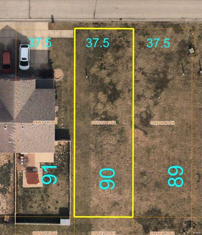 Belleville, IL 62220,2048 Camrose Green ST