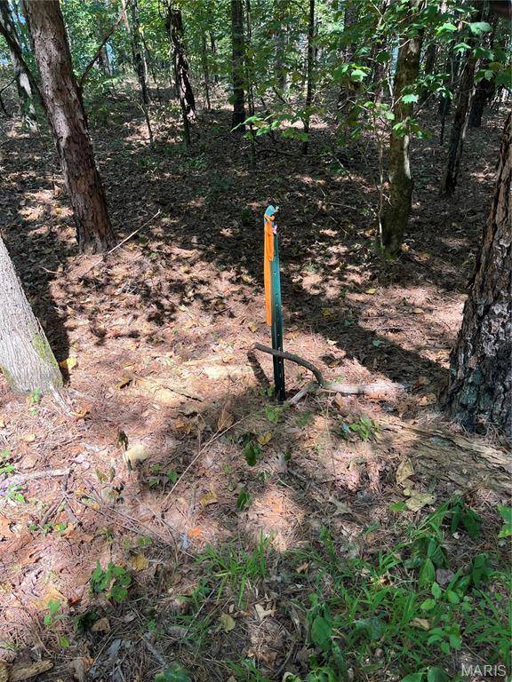 Lowndes, MO 63951,0 Highway E