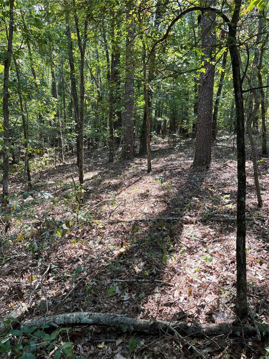 Lowndes, MO 63951,0 Highway E