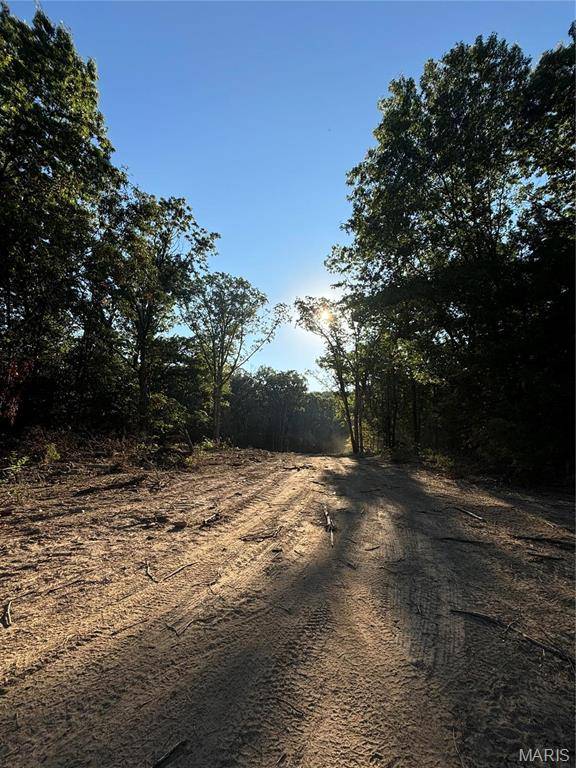 Monroe City, MO 63456,1 Appaloosa TRL