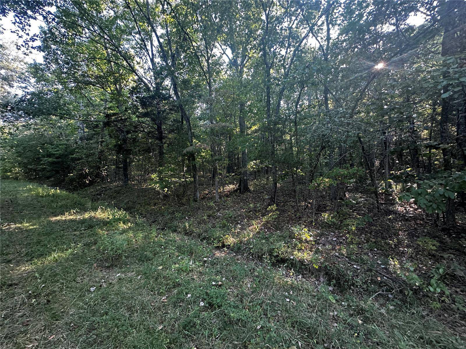 Bonne Terre, MO 63628,0 Fox LN