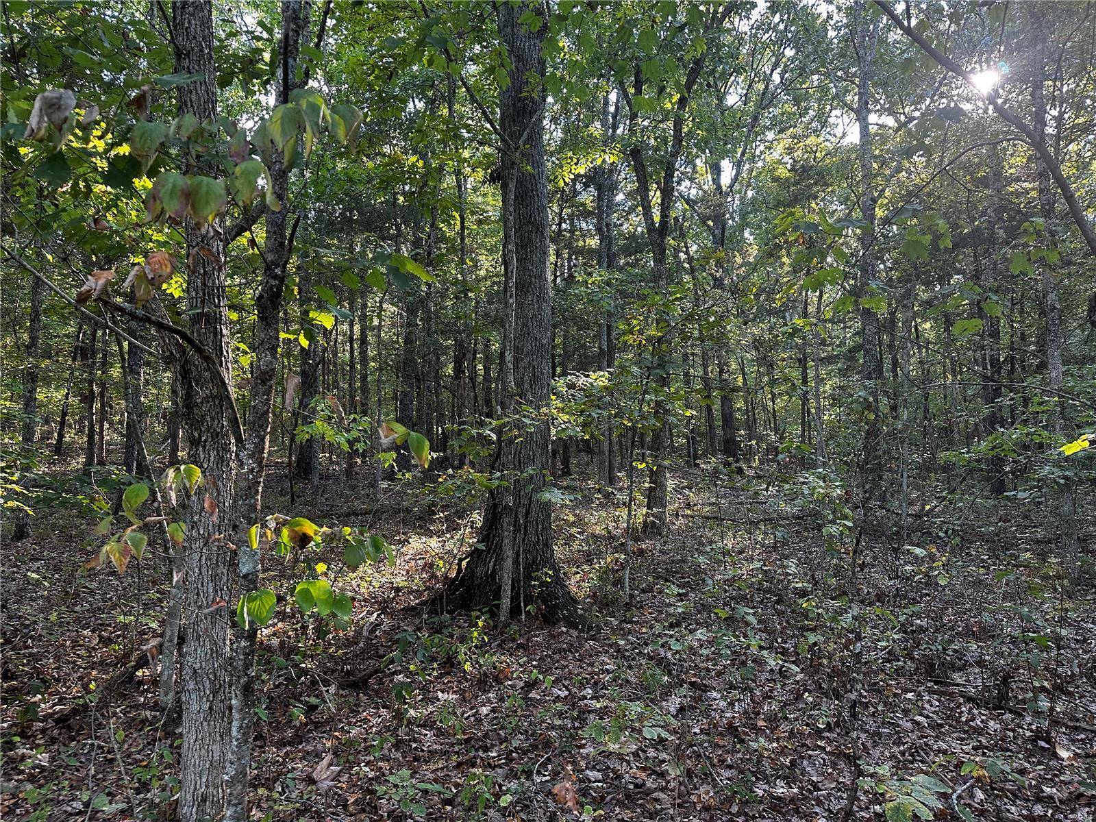 Bonne Terre, MO 63628,0 Fox LN