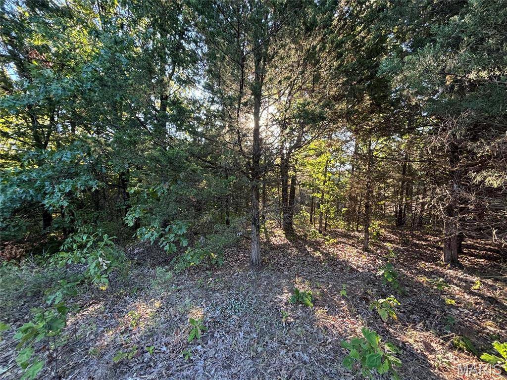 Monroe City, MO 63456,6 Appaloosa TRL