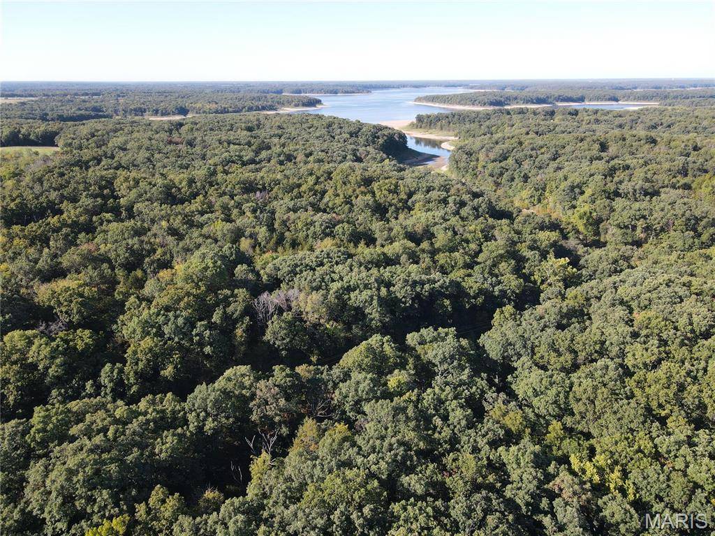 Monroe City, MO 63456,6 Appaloosa TRL