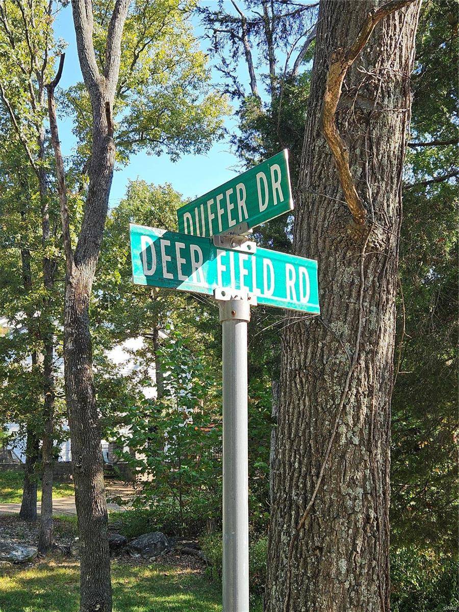 Hillsboro, MO 63050,9528 Duffer DR