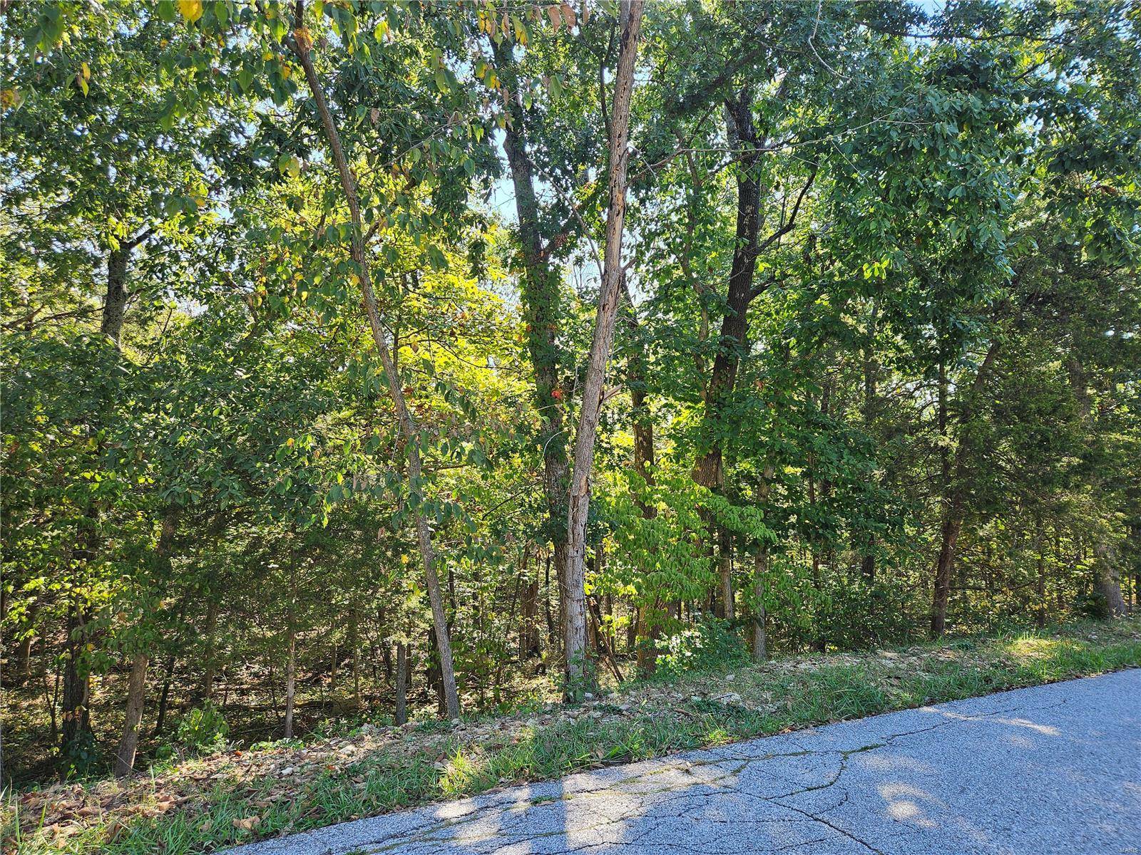 Hillsboro, MO 63050,9528 Duffer DR