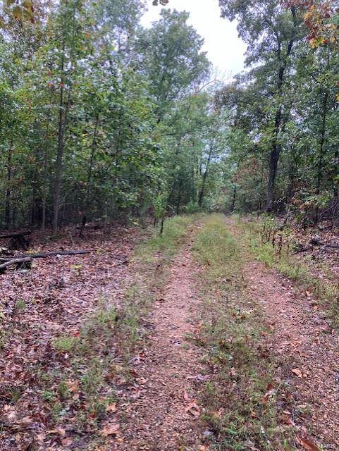 Fredericktown, MO 63645,44 Madison CR 410