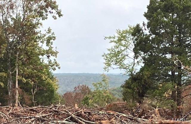 Fredericktown, MO 63645,46 Madison CR 410