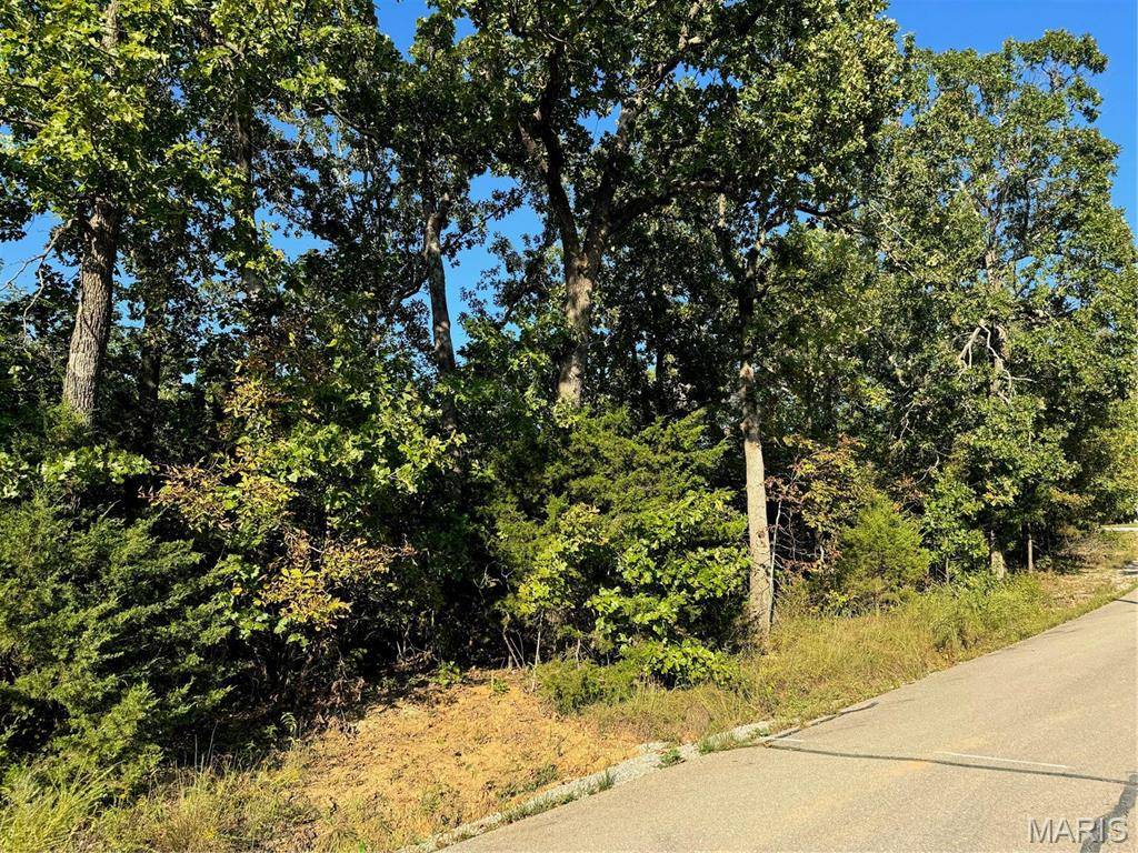 Perryville, MO 63775,0 Lot 6b Lakeview DR