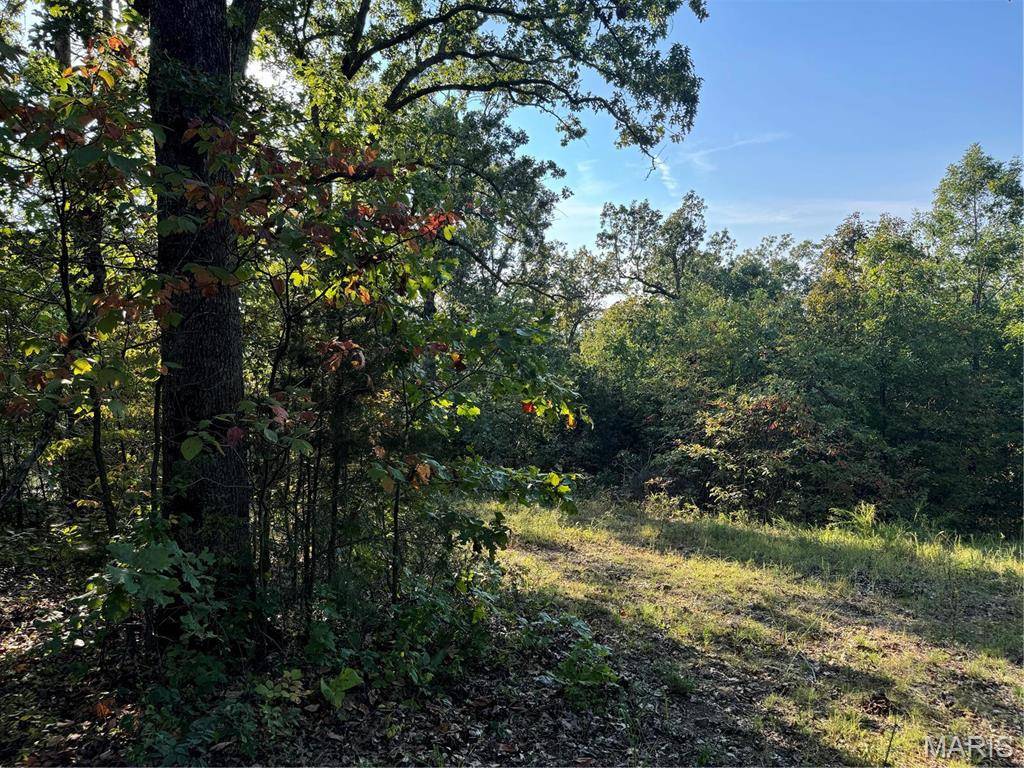 Perryville, MO 63775,0 Lot 6b Lakeview DR